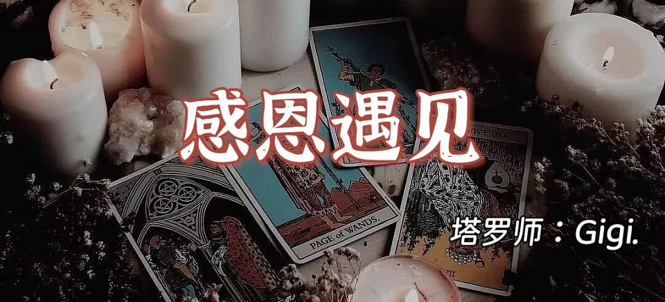 塔罗师微信